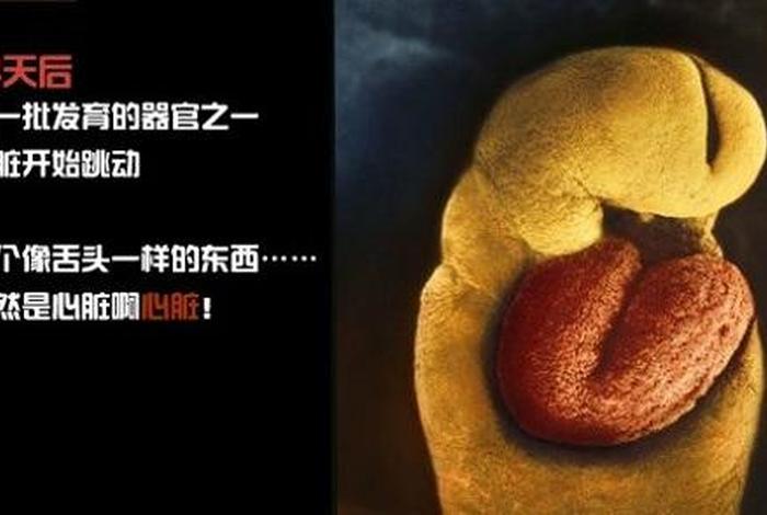 佛教怀孕胎教什么时候开始（佛教怀孕多久灵魂入胎）