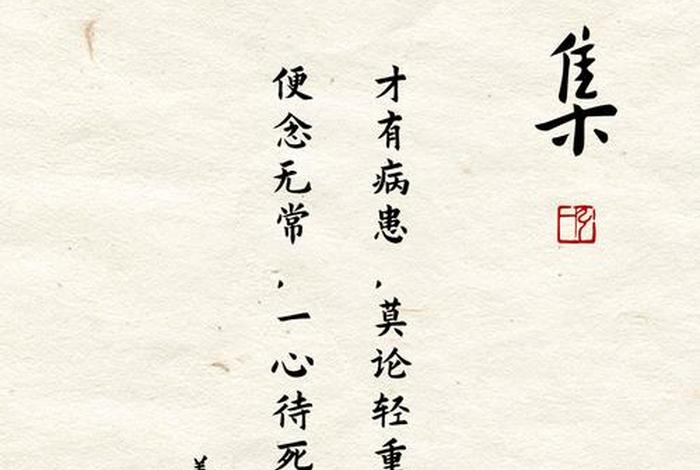 佛学中论，佛经中论