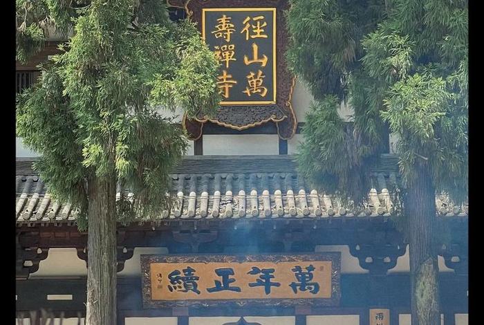 潮音禅院最新视频 - 潮音禅茶怎么样