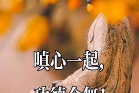嗔恨什么意思；嗔恨什么意思啊