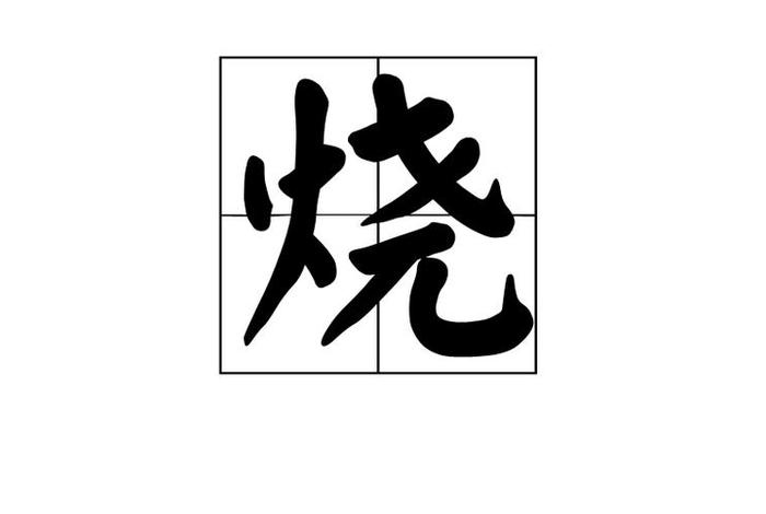 烧是什么意思啊，烧是什么意思呢