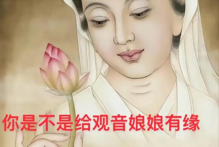 佛教知识抖音视频大全下载；佛教知识抖音视频大全下载免费