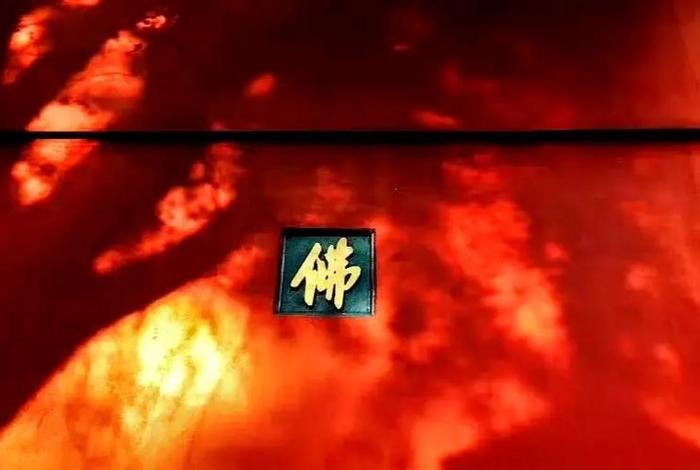 佛无色无相，无色无相出自哪本佛经