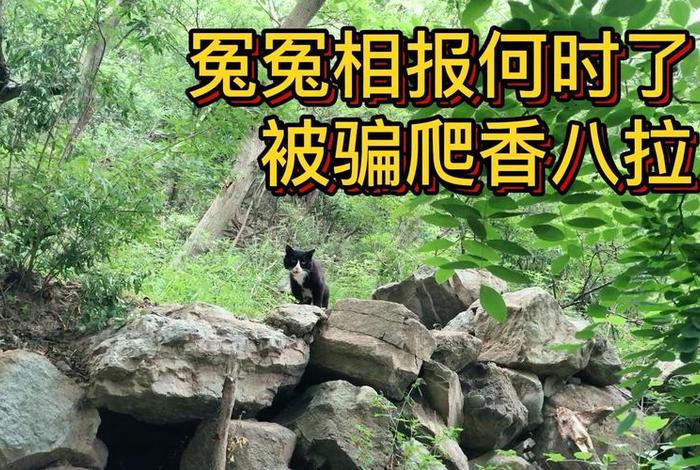 什么叫冤冤相报何时了、冤冤相报何时了？