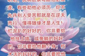因果业障什么意思，因果 业障