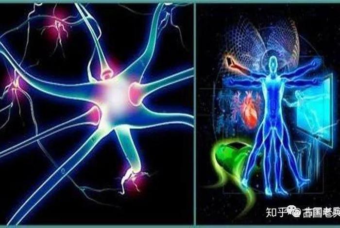 佛教的宏观世界与微观世界，佛教对微观世界和宏观世界的基本观点有哪些？
