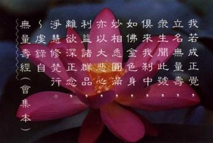 佛教修止；佛教修法是什么意思