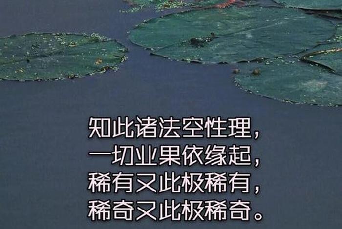 佛法中的漏，佛法中的漏是什么意思