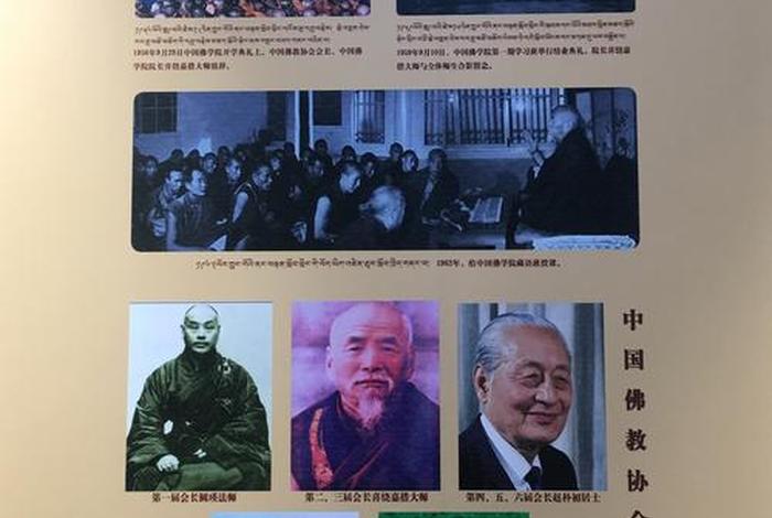 中国佛教协会是什么组织 - 中国佛教协会是什么性质