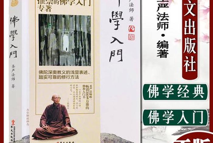 初学佛学入门视频 初步学佛教程