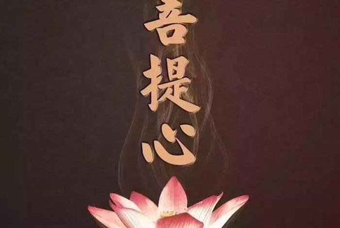 佛学修心最高境界淡定（佛教修心三层境界）