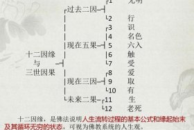 出家因缘及对佛教的认识、出家的因缘经历