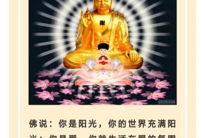 怎么样修佛缘（如何修佛缘）