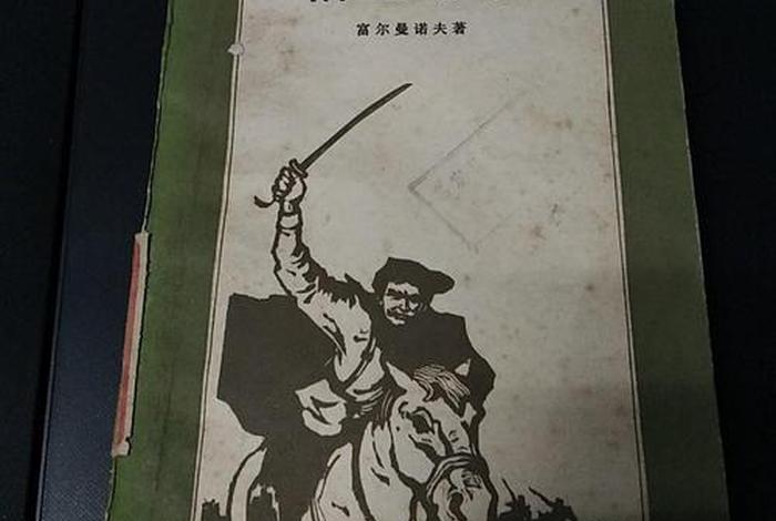 恰巴耶夫简介、恰巴耶夫图片