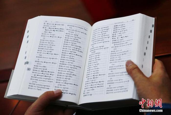 藏汉佛教词语翻译、藏传佛教藏汉翻译词典