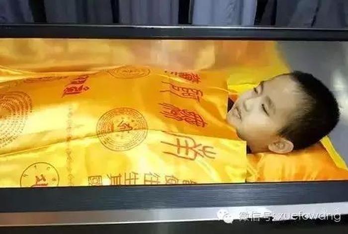 佛学往生 - 学佛往生视频