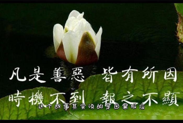 钱财的因果故事大全；佛家说钱财因果