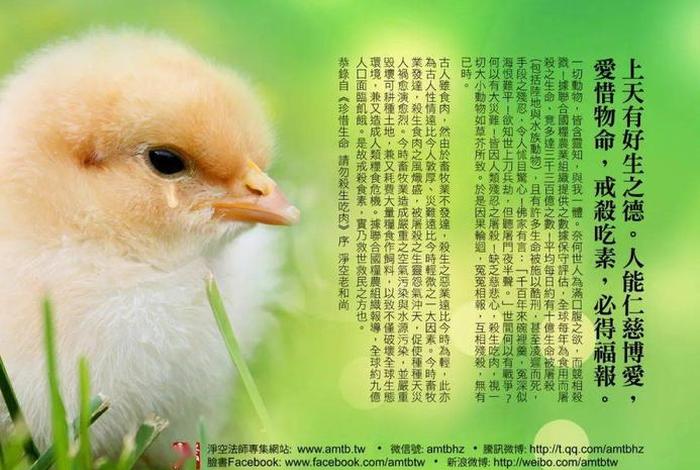 佛教放生基础知识有哪些 佛教放生指南佛教放生动物图册