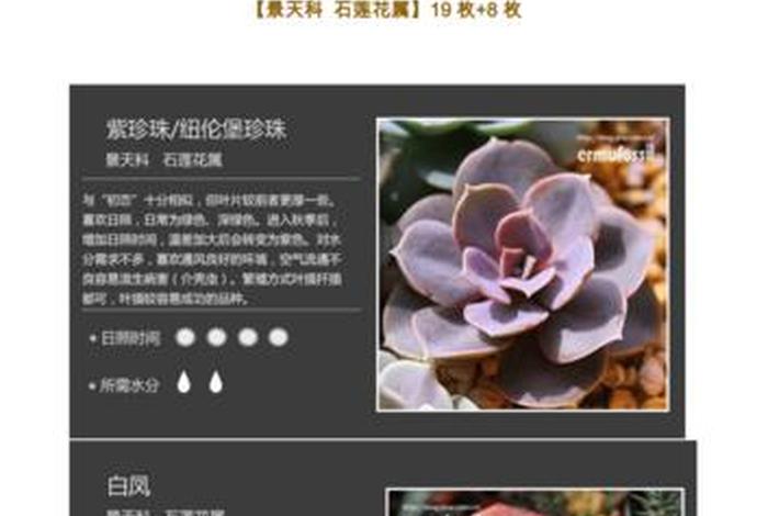 多肉花卉知识 - 多肉养花知识大全