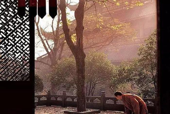 小白学佛入门（小白学佛入门视频）