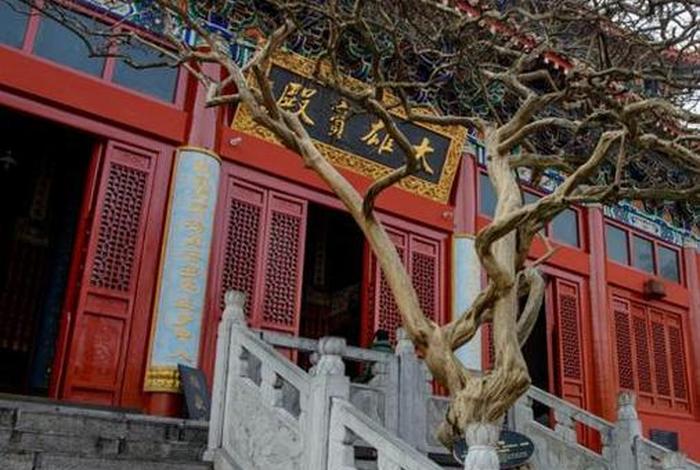 庙是佛还是道；庙道是道教吗