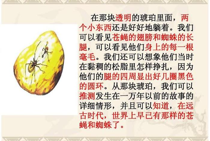 琥珀故事详细介绍 琥珀故事的详细情形是指什么