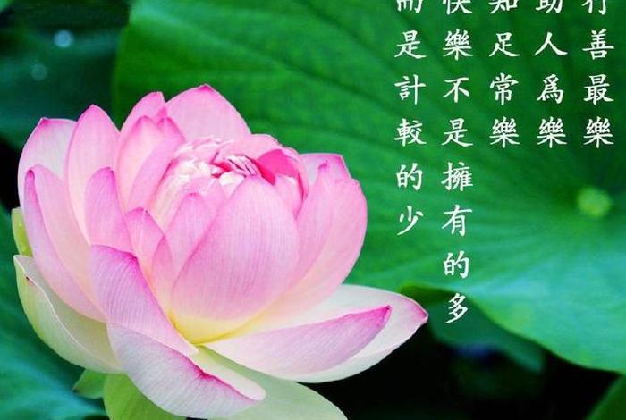 浅谈佛教（浅谈佛教的平等思想）