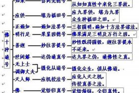 佛教基础知识大全图解（佛教基础知识大全集）