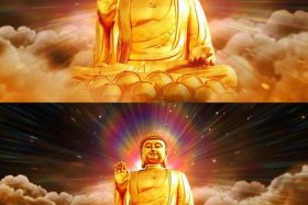 关注佛教视频；关注佛教视频大全