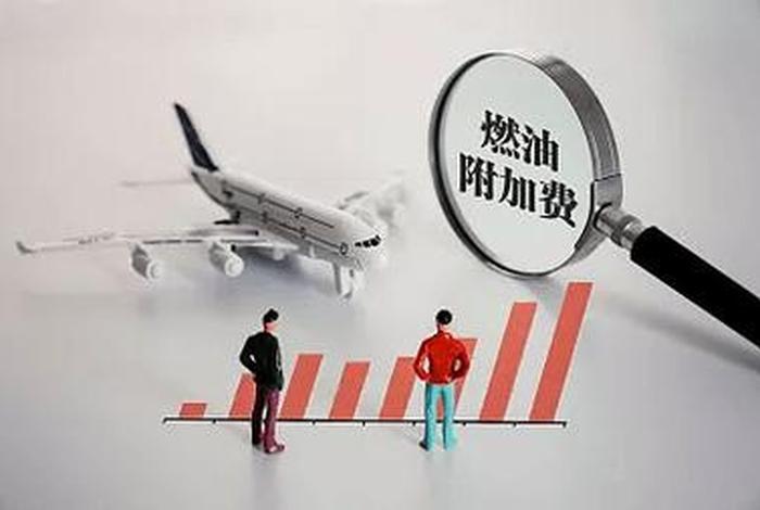 燃油fu；燃油附加费