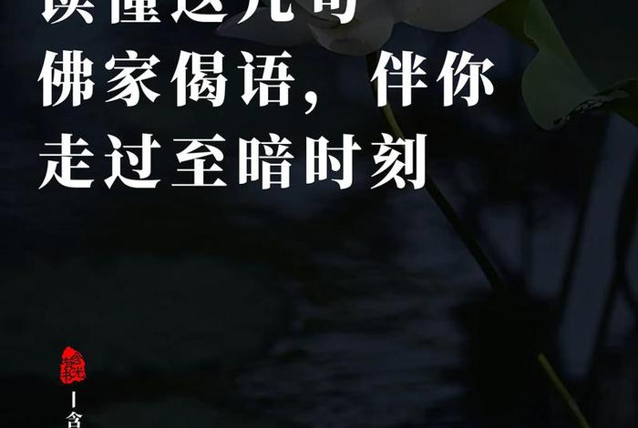 佛教文化佛学 佛学 佛教