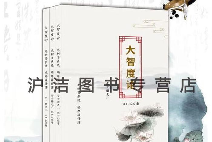 大智度论视频讲座；大智度论讲义下载