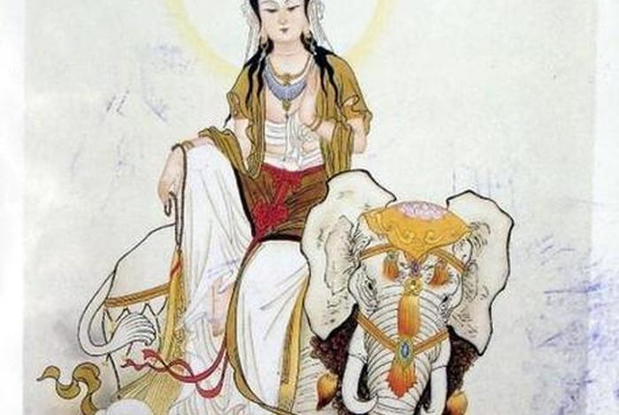 佛学的小常识，佛学小常识脑死亡及捐献器官诵什么经