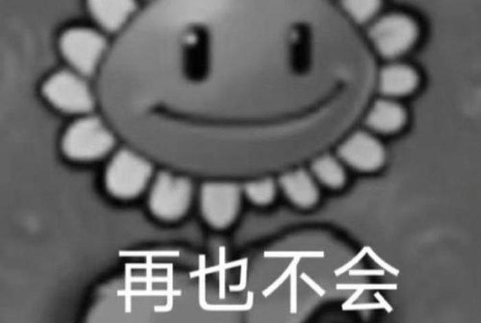 三界二十五有偈颂是什么（佛说三界）