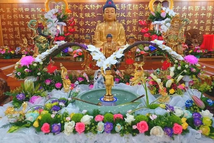 佛教供奉知识讲究大全视频（佛教供奉知识讲究大全视频下载）