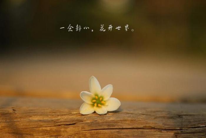 谈学佛的戒律感悟；谈学佛的戒律感悟句子