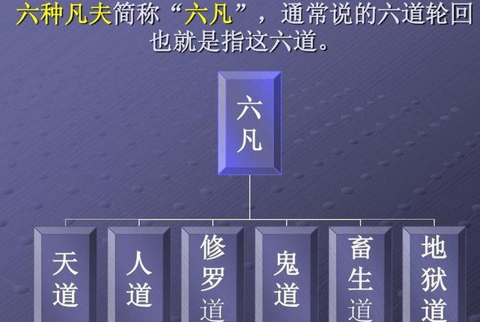 佛教的知识产权有哪些，佛教中知识怎么解释