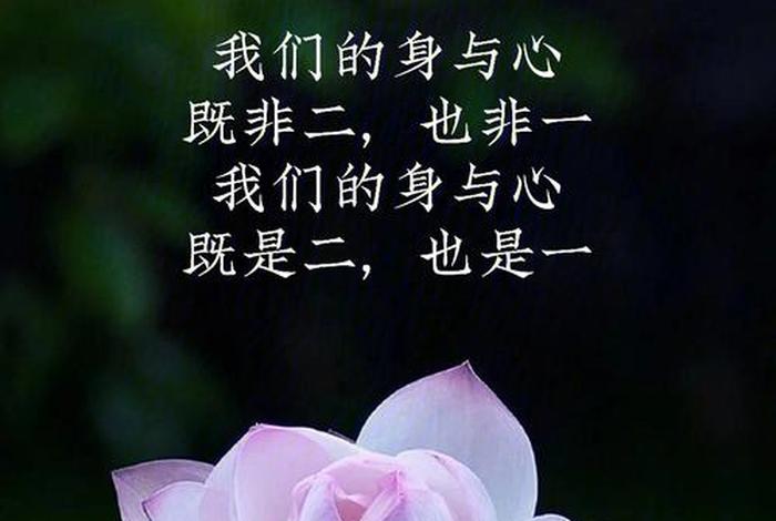 佛教何为禅 - 佛教里禅是什么意思