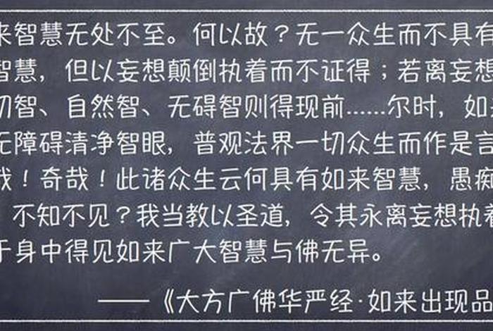 佛教知识跟智慧的关系是什么意思；佛教知识跟智慧的关系是什么意思啊