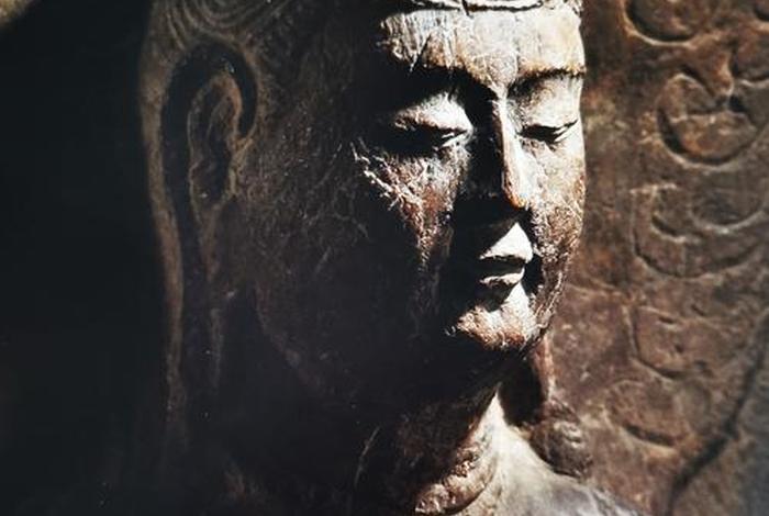 魏晋南北朝时期佛教兴盛与多种宗的并存；魏晋南北朝时期佛教盛行的原因表现及影响