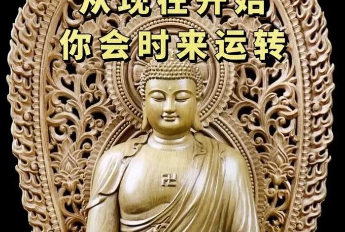 佛教的禅言禅语；佛教禅语录