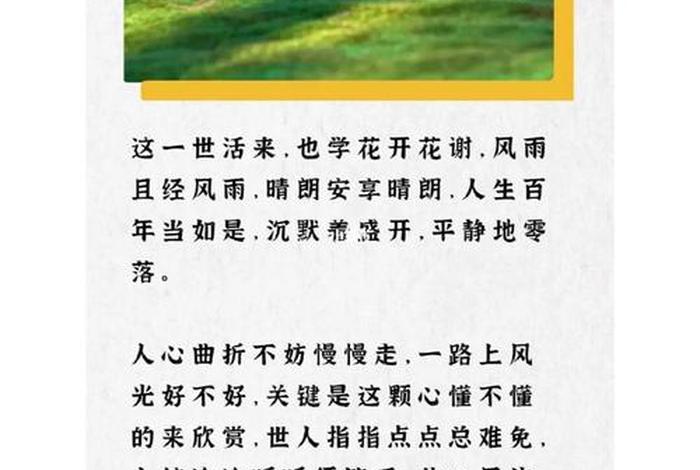 每日禅语及感悟 每日禅语app