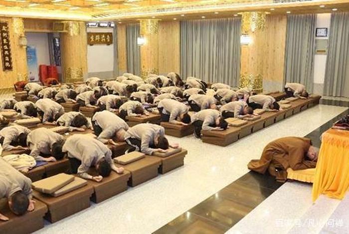 佛教冷知识视频大全集；佛教十条冷知识