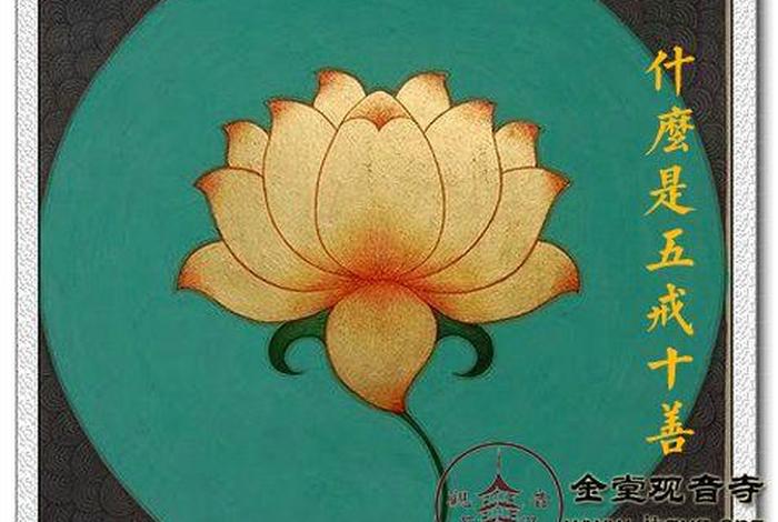 佛教真的善良吗 佛教真正的善是什么