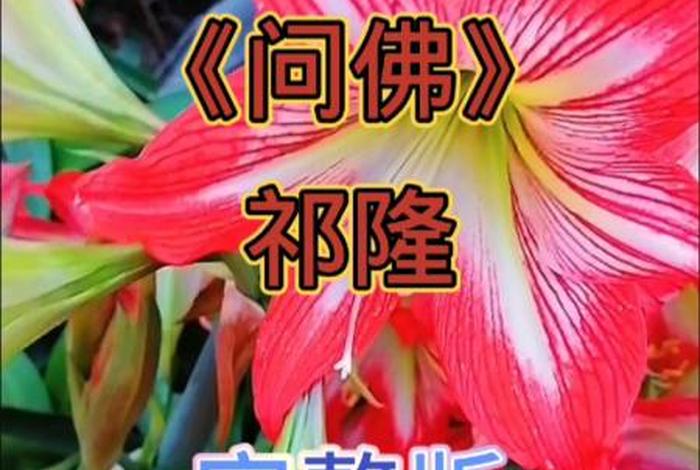 佛教视频抖音真人；抖音火的佛教音乐