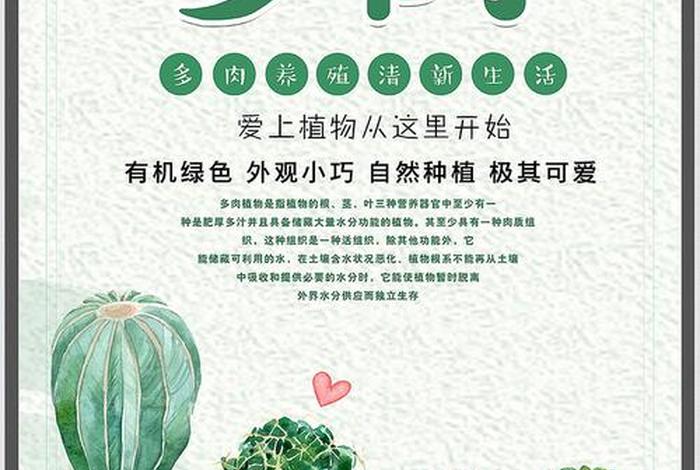 多肉植物宣传文案 - 多肉植物宣传文案范文