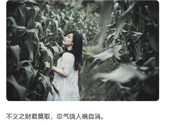 正法不二（正法不义什么意思）