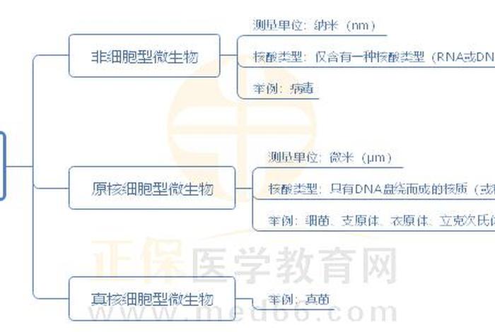 微生物的知识和视频 微生物知识点汇总