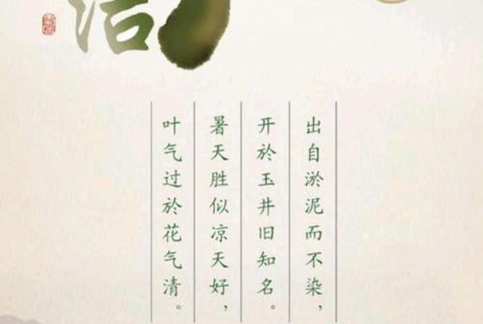 佛教知识洁字的解释是、洁字是什么意思？