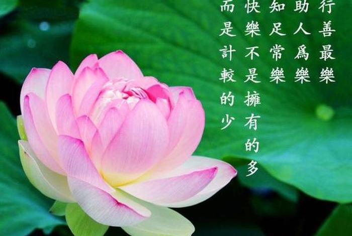 佛教如何让人心静 - 佛教如何让人心静一点